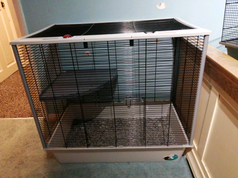 gumtree rat cage